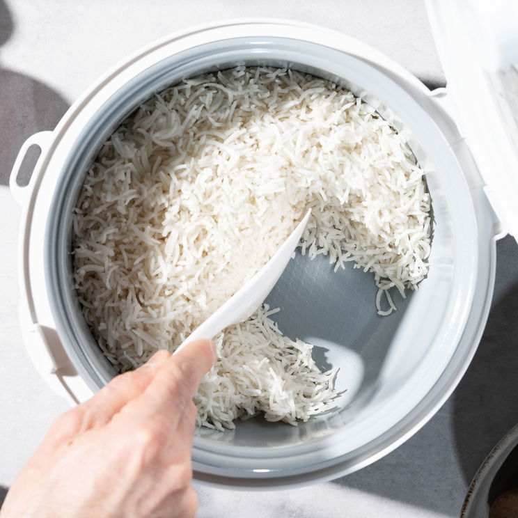 COLLBATH Vervangende Condensopvangbekers Voor Rijstkokers (20 Stuks) Universele Opvangbekers Voor Moeiteloze Reiniging COLLBATH Vervangende Condensopvangbekers Voor Rijstkokers (20 Stuks) Universele Opvangbekers Voor Moeiteloze Reiniging