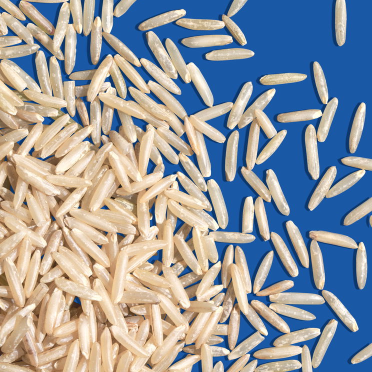 Verhouding rijst-water in de rijstkoker | Overzicht