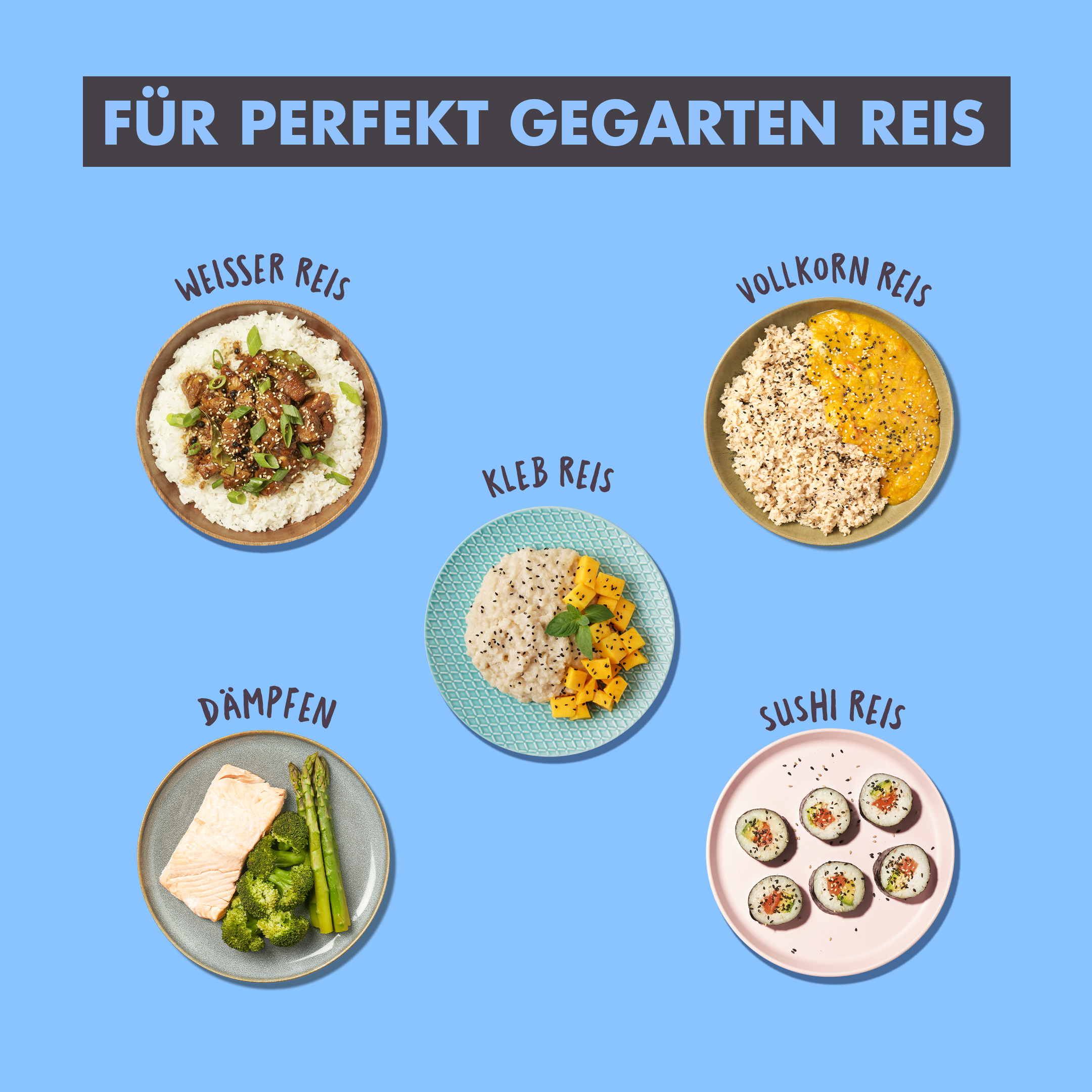 Reiskocher für perfekten Reis kaufen REISHUNGER