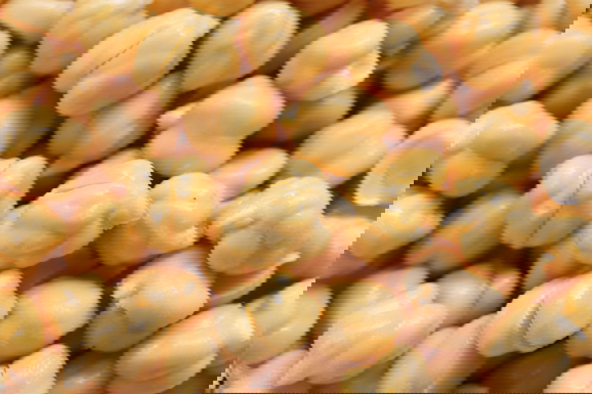 Kichererbsen richtig kochen & zubereiten REISHUNGER