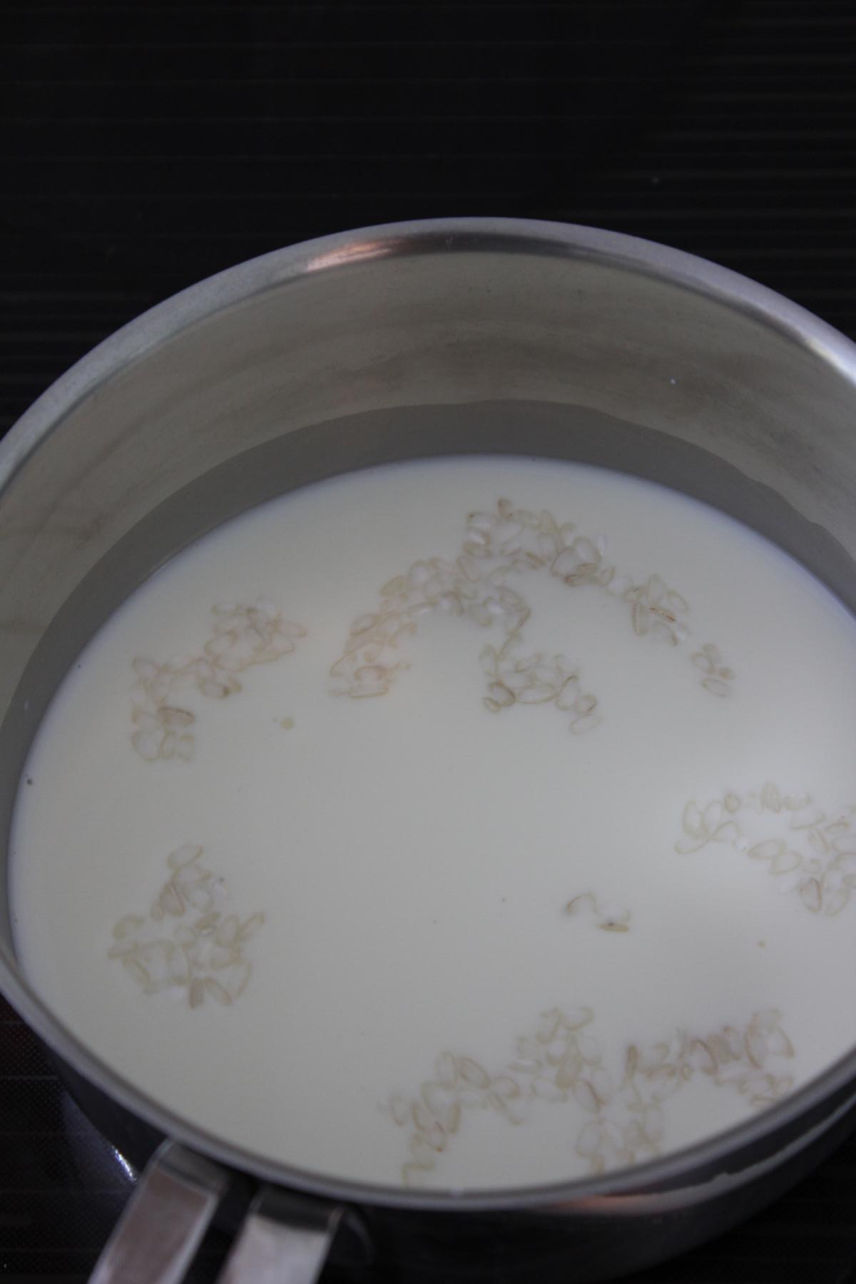Milchreis mit Schokoflocken und Beeren