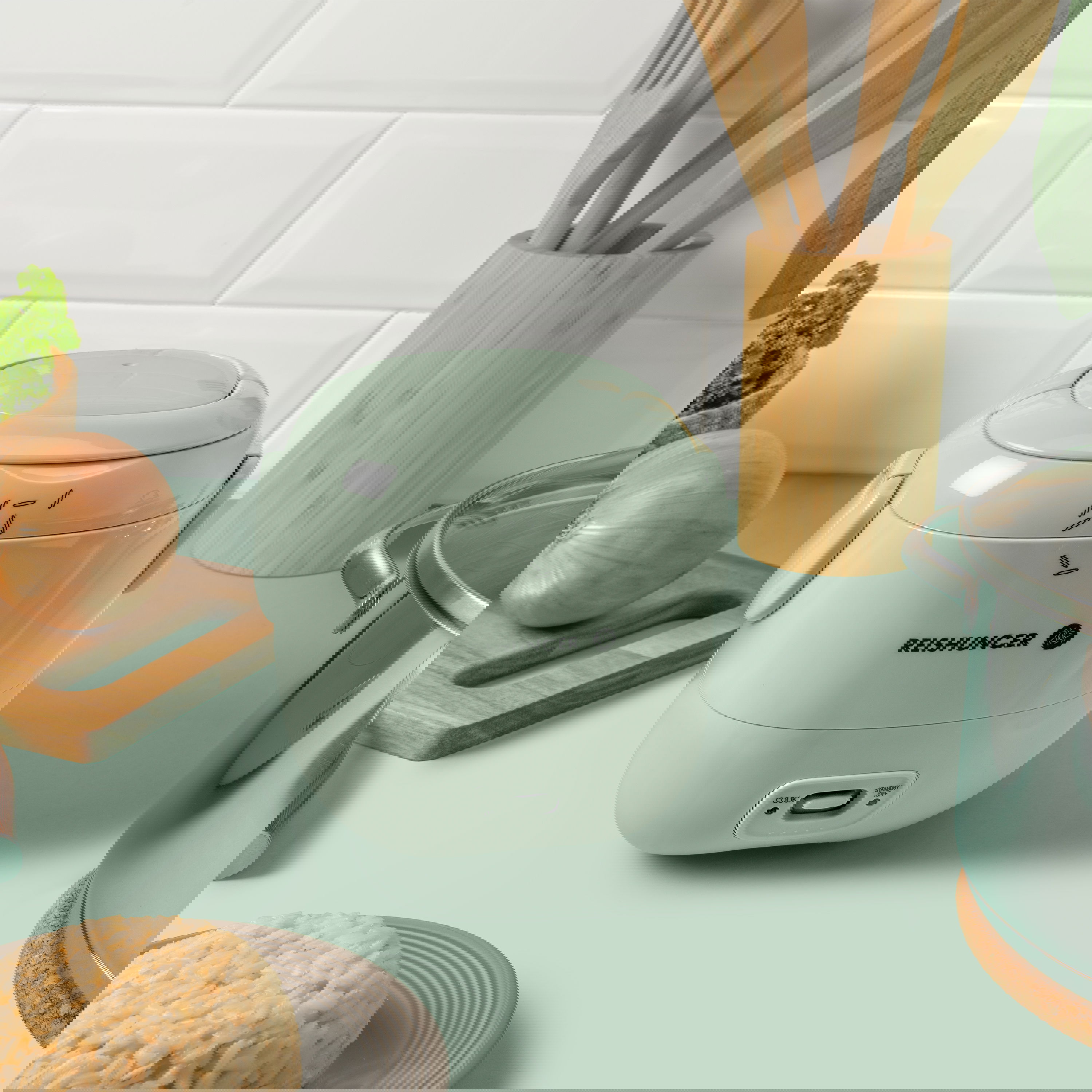 REISKOCHER VON REISHUNGER KAUFEN visual data 3