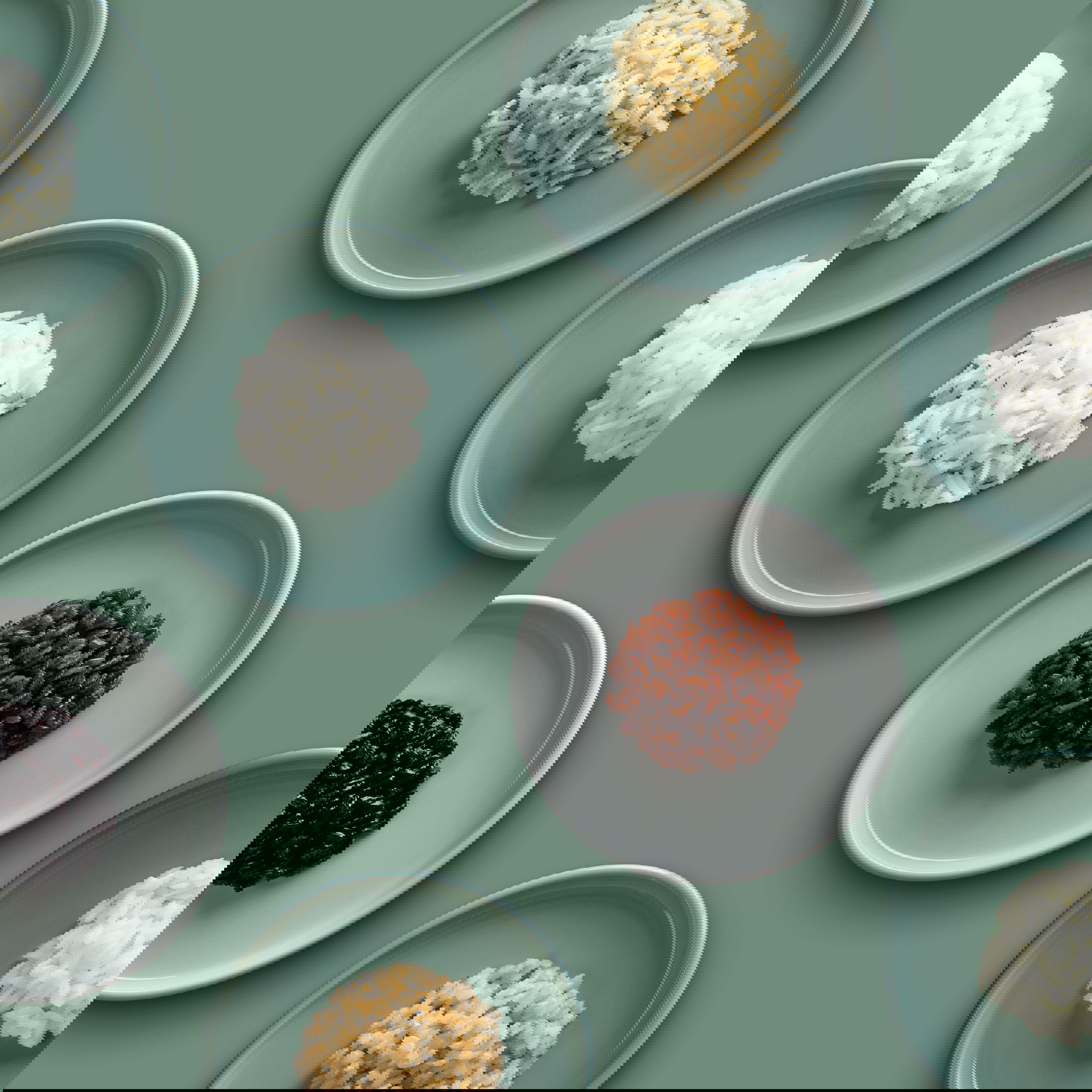 Reis &amp; Produkte aus Reis kaufen | Premium Qualität | Reishunger